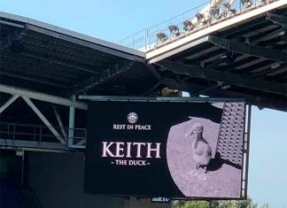 Фанаты «Уигана» почтили память селезня, хотя он не связан с клубом. Рассказываем