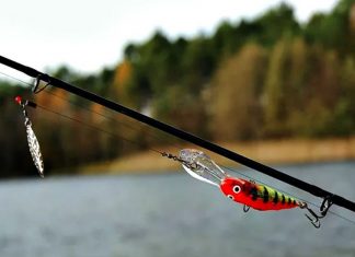 Особенности рыбалки с берега