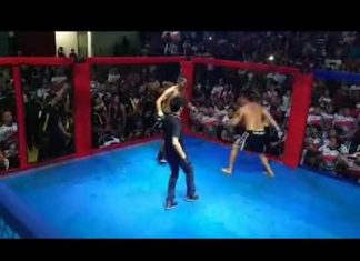 «Я мэр, а не уличный боец!» В Бразилии политики подрались по правилам ММА – из-за закрытия аквапарка