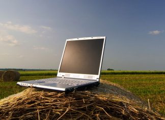 Оптоволокно, спутник, Wi-Max: что подключить в деревне