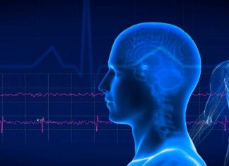 Нейрофизиологический мониторинг в нейрохирургии и неврологии: цели и методы