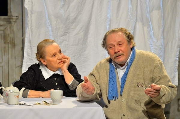 Столичный театрал высоко оценил работу омских &laquo;академиков&raquo;