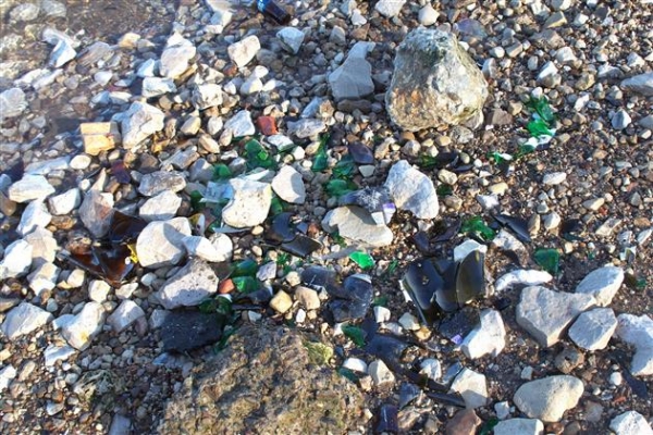 Депутаты и волонтеры очистили берег Волги от мусора