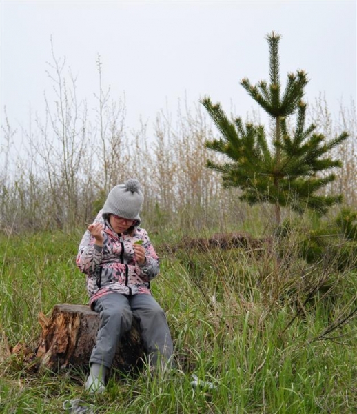 "КуйбышевАзот" продолжает восстанавливать лес