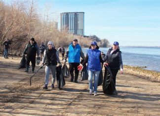 Депутаты и волонтеры очистили берег Волги от мусора