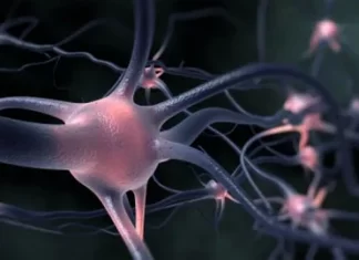 Болезнь двигательного нейрона — что это?