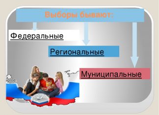 Как проходят выборы и какими они бывают