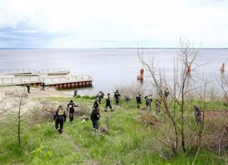 Сотрудники Сызранского НПЗ навели порядок на 6 тысячах «квадратах» волжского берега