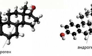Анаболические андрогенные стероиды. Что это?