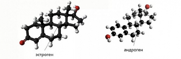 Анаболические андрогенные стероиды. Что это?