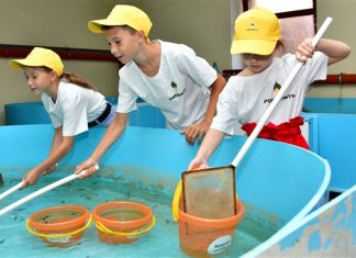 Сызранские нефтяники восполнили популяцию стерляди в Волге тридцатью тысячами мальков