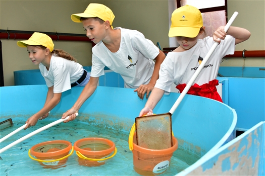 Сызранские нефтяники восполнили популяцию стерляди в Волге тридцатью тысячами мальков