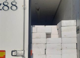 Самарские таможенники пресекли попытку незаконного ввоза 20 тонн миндаля