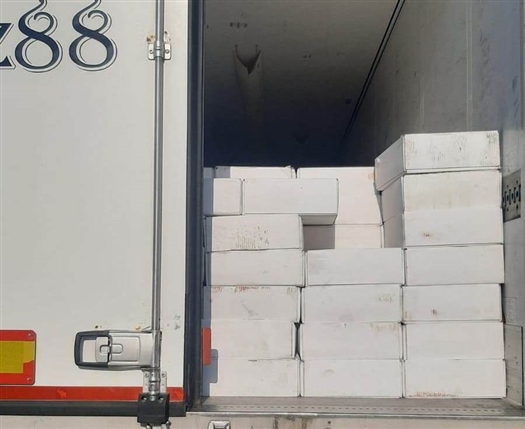 Самарские таможенники пресекли попытку незаконного ввоза 20 тонн миндаля