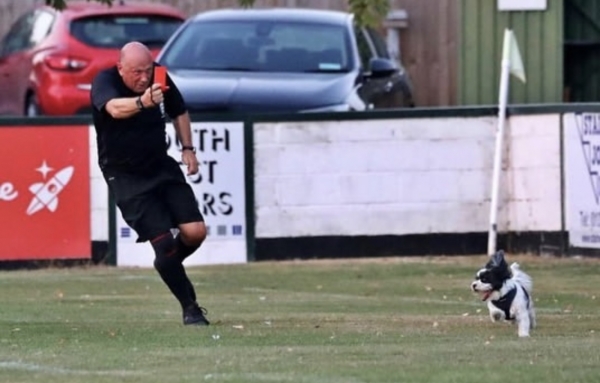 Собаки, песики, щенки – тоже болельщики! Эти лохматые фанаты из нон-лиг принесут нам в ленту чуть-чуть добра