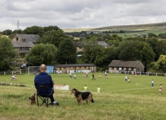 Собаки, песики, щенки – тоже болельщики! Эти лохматые фанаты из нон-лиг принесут нам в ленту чуть-чуть добра