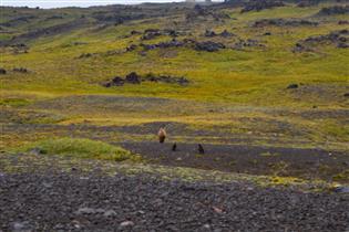 Ключевская Сопка: стоимость и нюансы восхождения