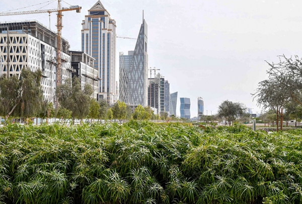 Перед ЧМ в Катаре построили город, где пройдет финал. Это уникальная история 