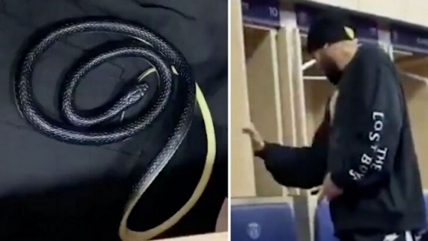 Неймар, которого вы не знали: советуется с пастором, боится змей, пытался устроить в клубы друзей