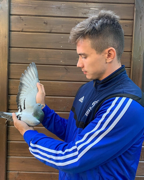 &laquo;Из 300 своих птиц могу узнать каждую и назвать номер&raquo;. Монолог хоккеиста ЦСКА о любви к голубям