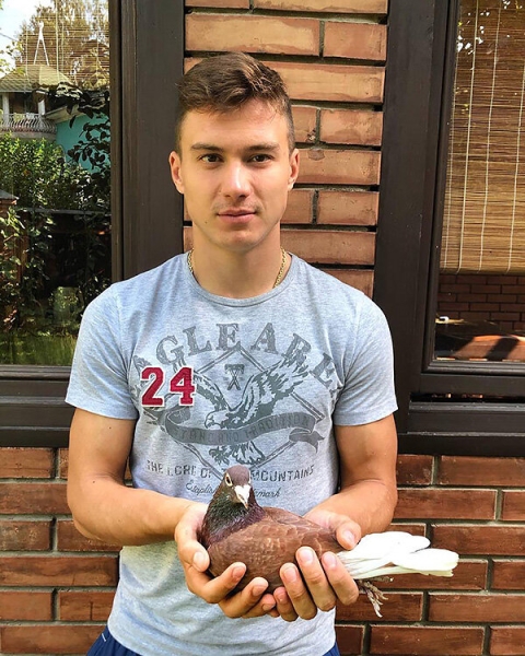 &laquo;Из 300 своих птиц могу узнать каждую и назвать номер&raquo;. Монолог хоккеиста ЦСКА о любви к голубям