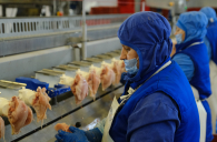 &laquo;А снег не знал и падал&raquo;: горожане умоляют о помощи мэрию Новосибирска