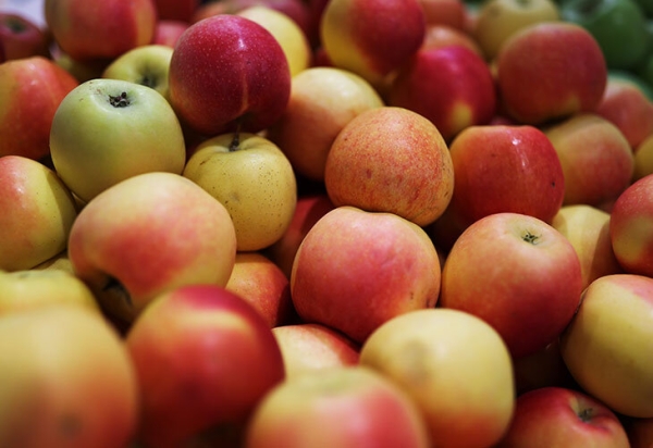 У Рене Фазеля есть паспорт РФ и яблочный бизнес с Геннадием Тимченко! Удивительная пенсия экс-босса хоккея