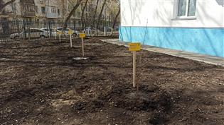 В Куйбышевском районе появилась аллея врачей-ветеранов 