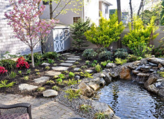 Как создать водоем на даче