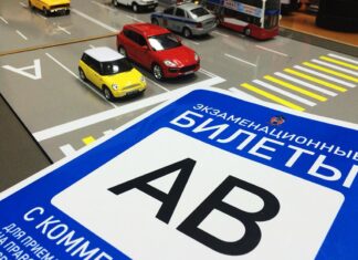 Обучение на права категории В: требования и особенности процесса