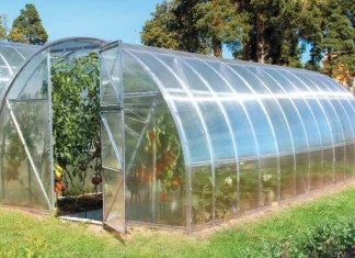 Как выбрать теплицу: советы для успешного выбора