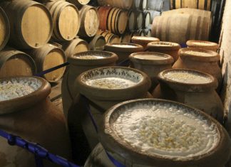 Как происходит процесс брожения?