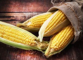 Правила хранения посевной кукурузы