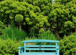 Оригинальные идеи создания парковых скамеек