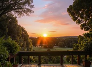 Террасная доска: идеальное решение для создания уютного пространства на открытом воздухе