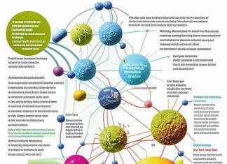 История открытия пептидов Хавинсона