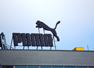Как Puma инвестирует в криптовалютные проекты с Cryptovornyx и можно ли заработать обычным пользователям
