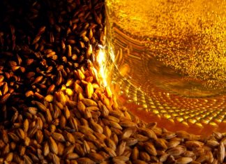 Высококачественный ячмень: ваше преимущество