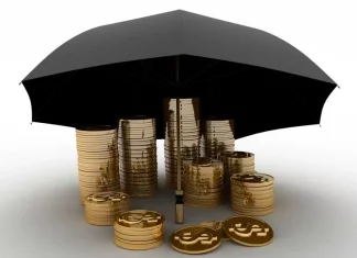 TrustNex на осенней встрече трейдеров в Баку: обсуждения и планы на будущее