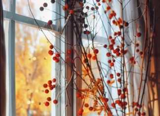 Преимущества двухкамерных стеклопакетов для окон