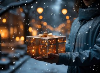 Лучшие гаджеты для новогоднего подарка