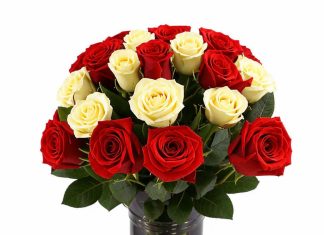 Кому дарят красные розы?