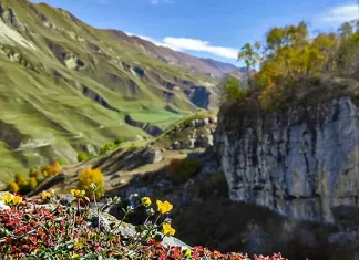 Матласская каменная чаша: загадочное чудо природы
