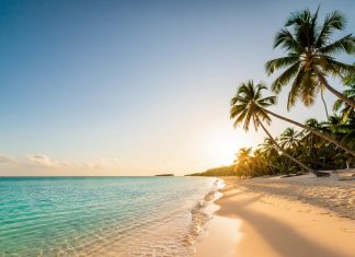 Пляжи Калининградской области — от городских до диких