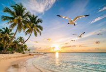 Турция: почему Анталья идеальна для туристов из Санкт-Петербурга