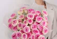Пионовидные розы – символ утонченной красоты и элегантности
