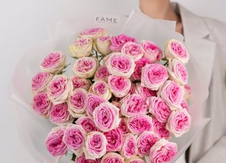 Пионовидные розы – символ утонченной красоты и элегантности