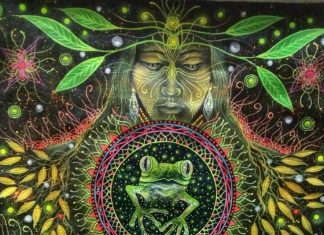 Запреты и ограничения перед аяваска-ретритом