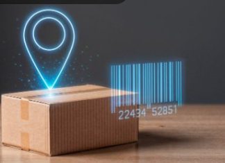 Доставка товаров из Кыргызстана: выгодные возможности для бизнеса и частных покупателей