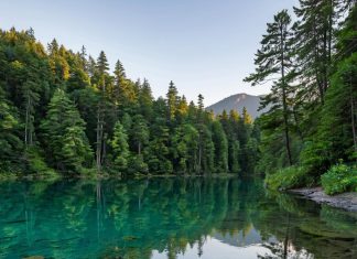 Отдых в Карелии: северная природа, уединение и новые впечатления